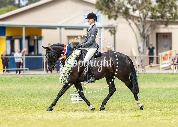 A72I5004 Yondella Davinchi Jessica Dertell,