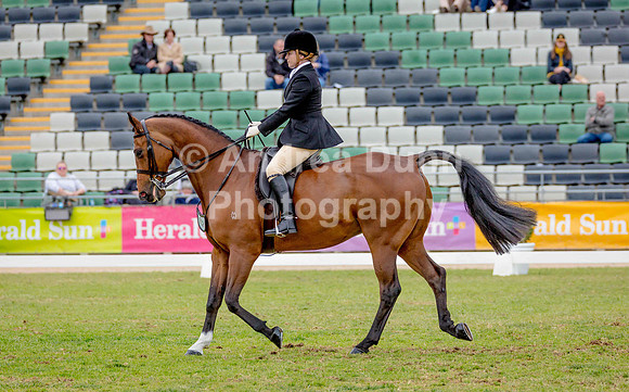 0H6A8344