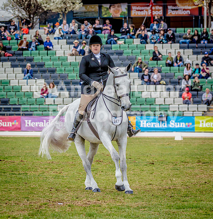 0H6A9073