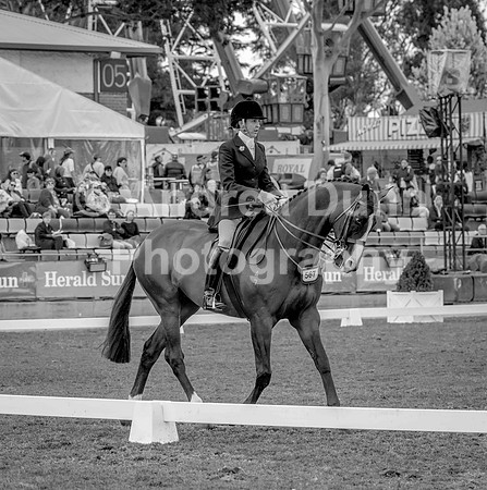 0H6A9193 BW