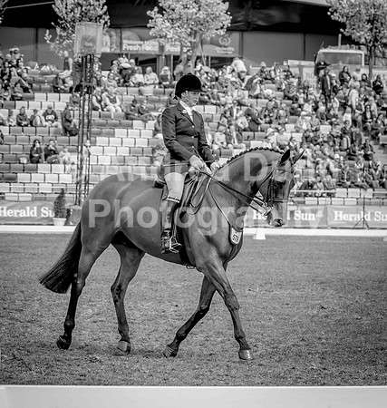 0H6A9812v2bw