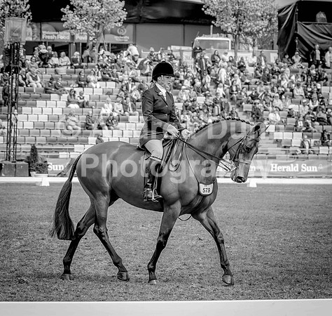 0H6A9814v2bw
