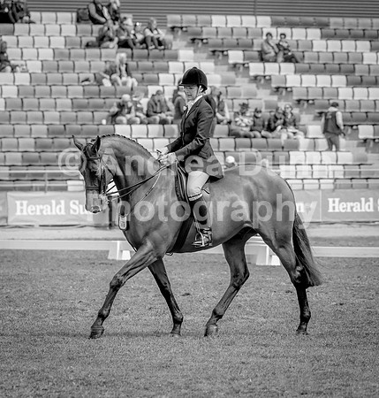 0H6A9824v2bw