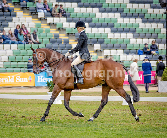0H6A0136