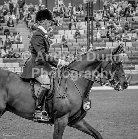 0H6A0807 bw