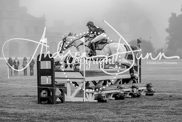 S 0H6A1201 bw