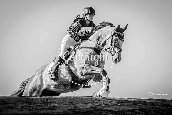 0H6A0020 C BW