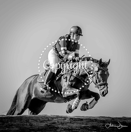 0H6A0070 C BW