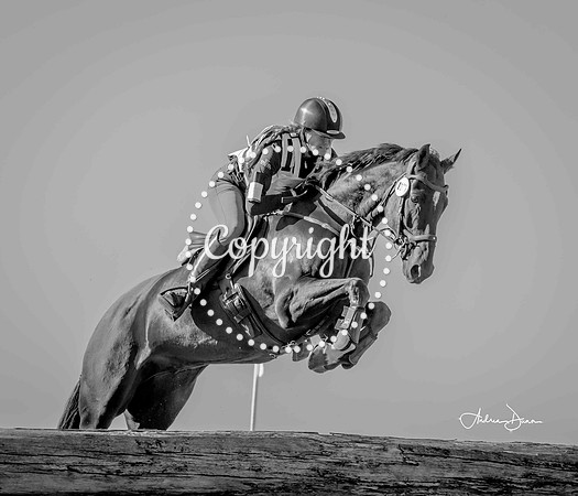0H6A0085 C BW