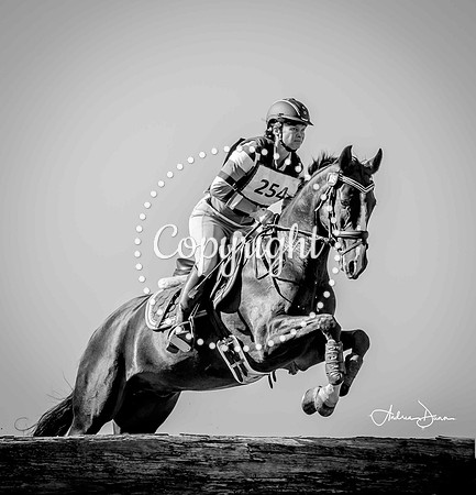 0H6A0179 c bw
