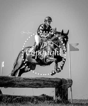 W2 0H6A0213 BW