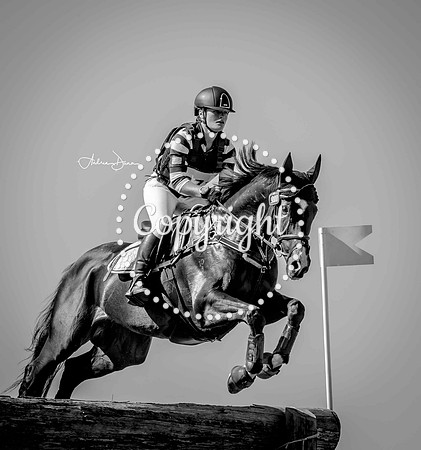 W2 0H6A0213 C BW
