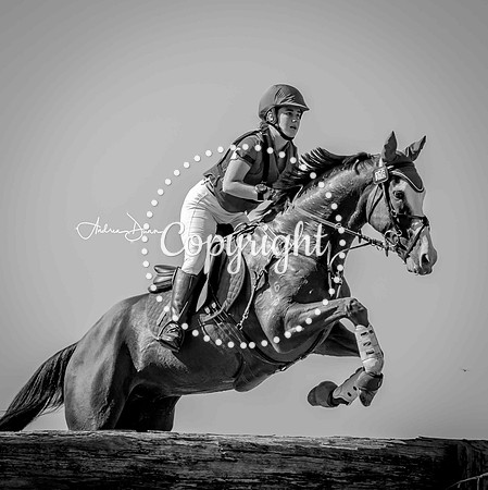 W2 0H6A0233 C BW