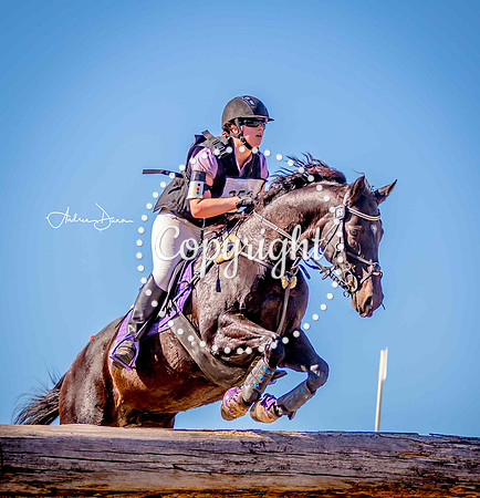 W3 0H6A0201 C