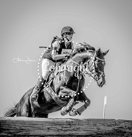 W3 0H6A0201 C BW