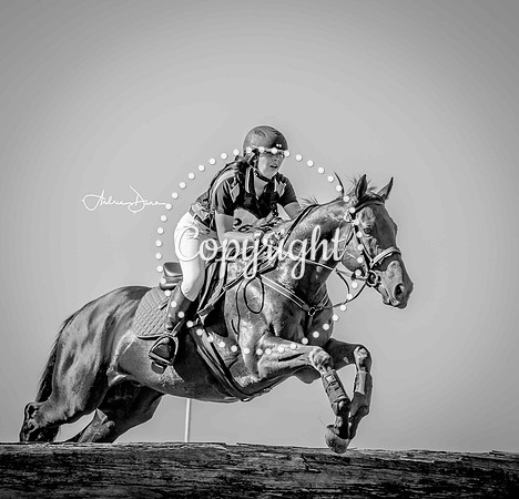 W3 0H6A0206 C BW