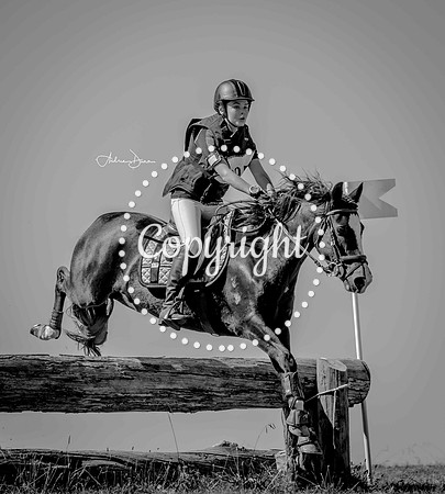 W3 0H6A0304 BW