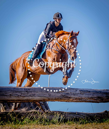 W7 0H6A0041