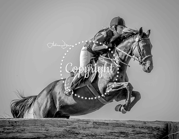 W7 0H6A0094 C2 BW
