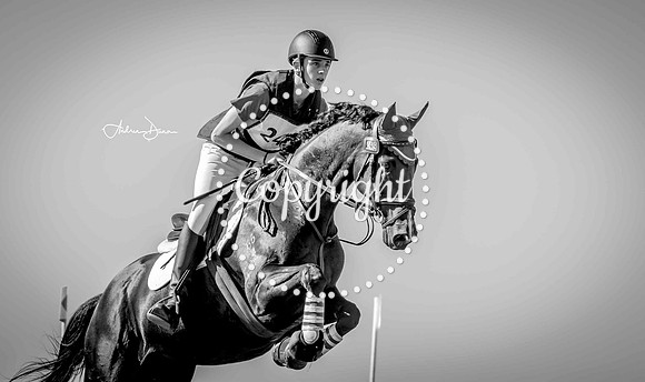 W7 0H6A0159 C BW