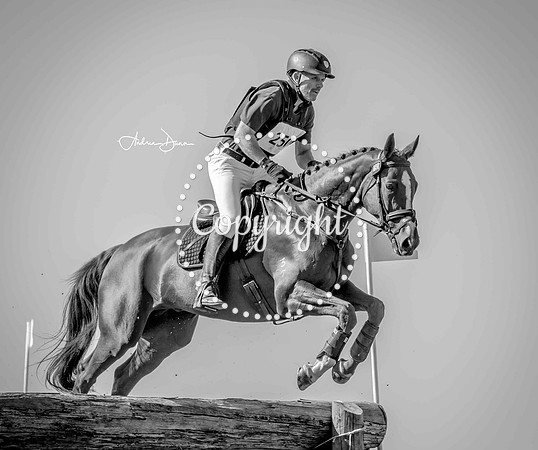 W7 0H6A0164 C BW