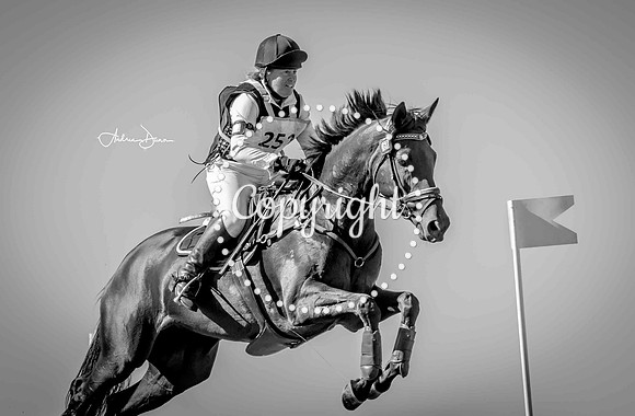 W7 0H6A0167 C BW