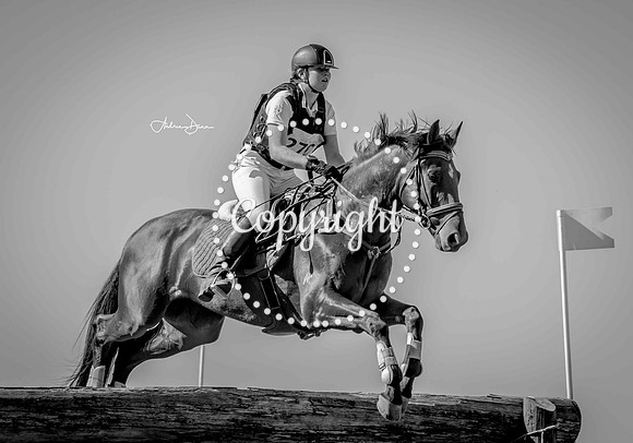 W7 0H6A0209 C2 BW