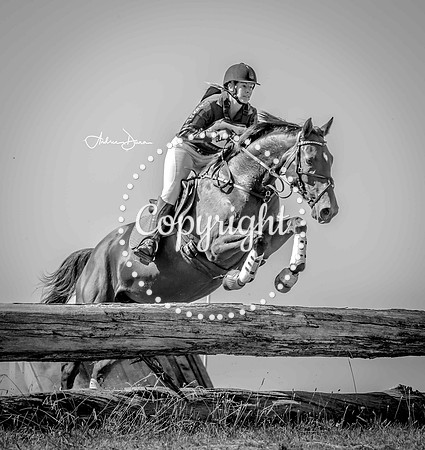 W7 0H6A0242 BW