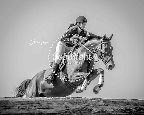 W7 0H6A0242 C BW