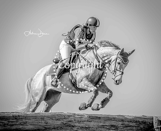 W7 0H6A0247 C BW