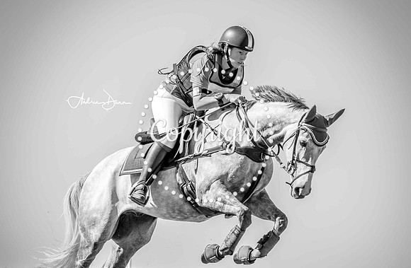 W7 0H6A0247 C2 BW