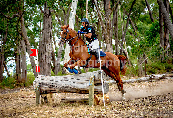 0H6A8420