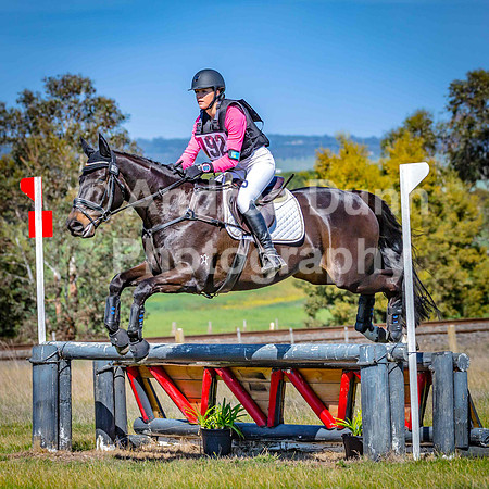 0H6A8813 P