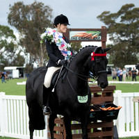 (Class 22 - Ring 1) Rider 30 & Over (105 Photos Online - Gallery Complete)