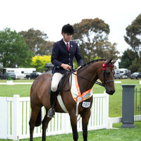 (Class 40 Preliminary Hack Over 15h) (151 Photos Online - Gallery Complete)