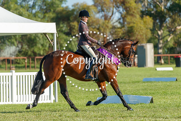 A72I5497