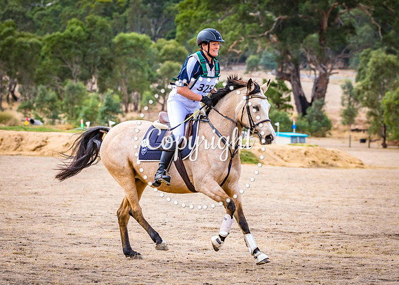 0H6A7466