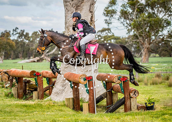 A72I2576 L