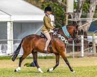 2019 Royal Geelong Show