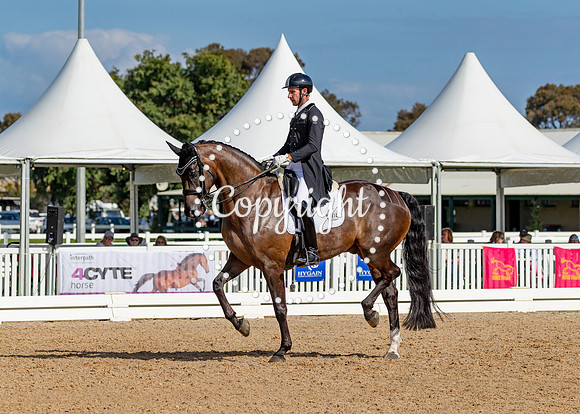 A72I3503 LR