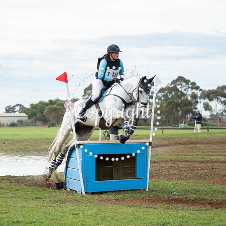 A72I8384-321