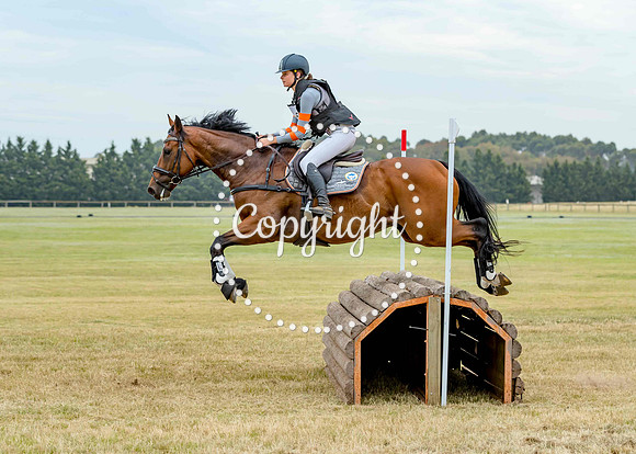 A72I0251 L