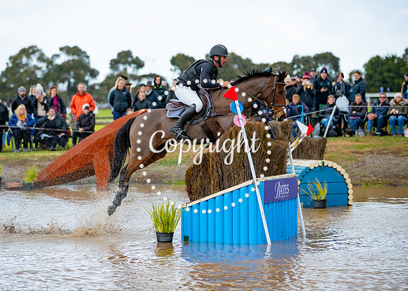 A72I1731 L