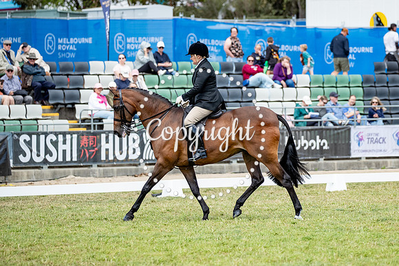 A72I2824-1