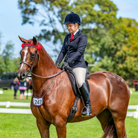 2022 Barastoc Horse Of The Year [Friday Classes]