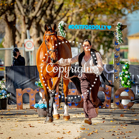 A72I6166 HR