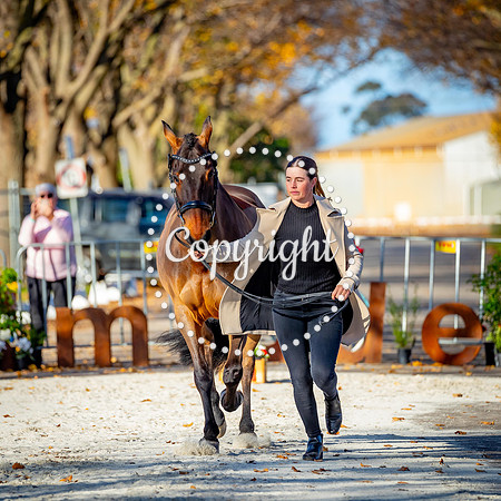 A72I5613-188