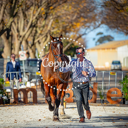 A72I5812-290