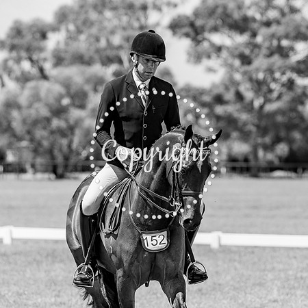 A72I6598-2