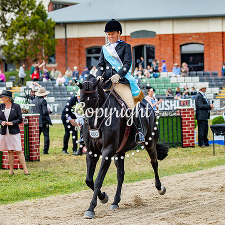 A72I5518-4